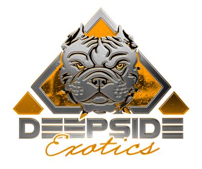 deepside_exotics_dog_kennel_logo_designed_by_kahraezink